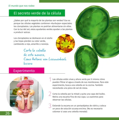 снимка Микроскоп Levenhuk Discovery Micro с книга,  7
