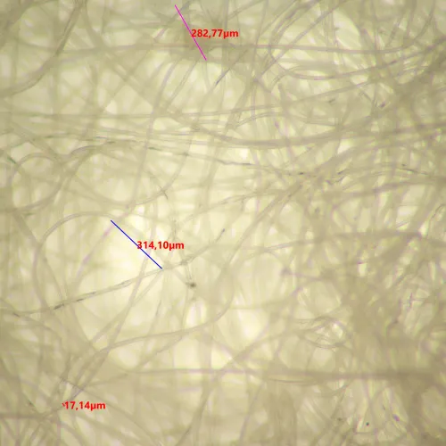 снимка Стереомикроскоп MAGUS Stereo 9T,  20