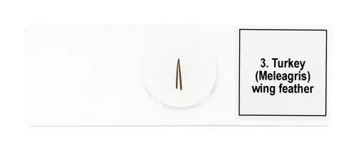 фотография Набор от микропрепарати Levenhuk Discovery Prof DPS 5. „Птици“,  7