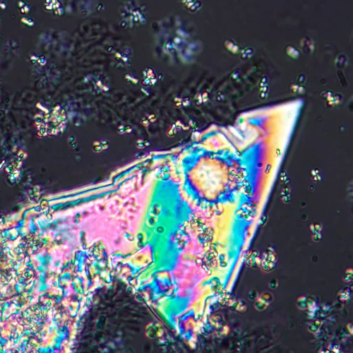 фотография Поляризационен цифров микроскоп MAGUS Pol D800 LCD,  23