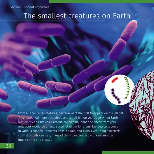 снимка Познавателна книга „Невидимият свят“,  5