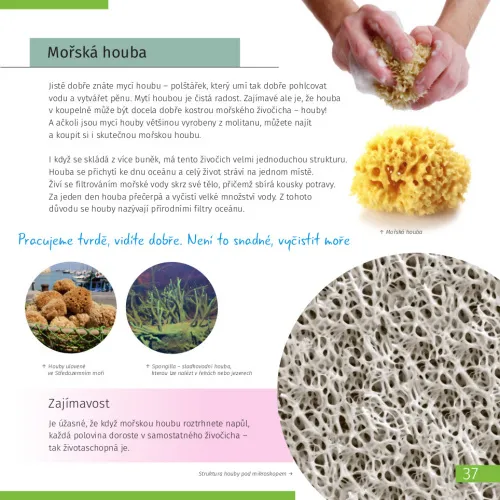 изображение Познавателна книга „Космос. Микросвят“ (двутомно издание). С твърди корици,  10