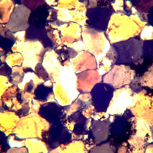 фотография Поляризационен цифров микроскоп MAGUS Pol D800 LCD,  24