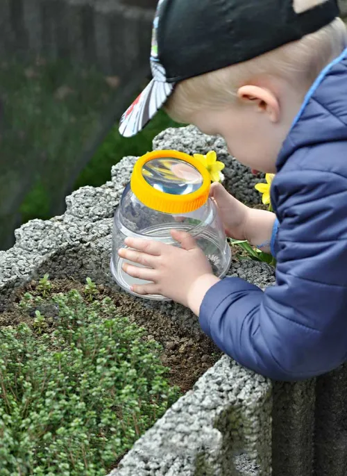 фотография Кутия за насекоми Bresser National Geographic 5x XXL,  6