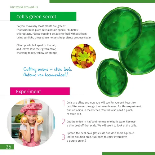 снимка Познавателна книга „Невидимият свят“,  4