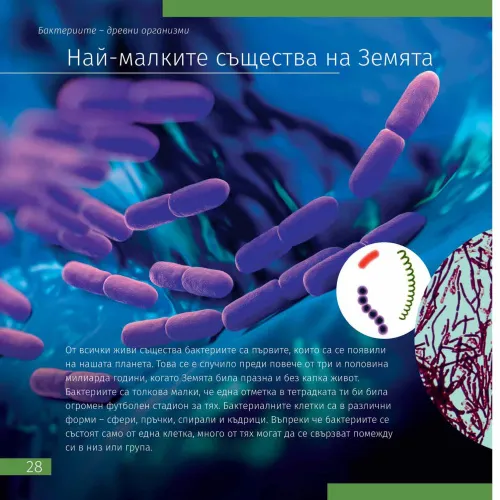 картинка Познавателна книга „Невидимият свят“. С твърди корици,  5