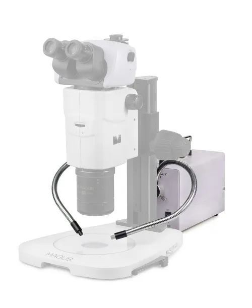 изображение Студена светлина с двоен светлинен водач MAGUS CLI18T,  4