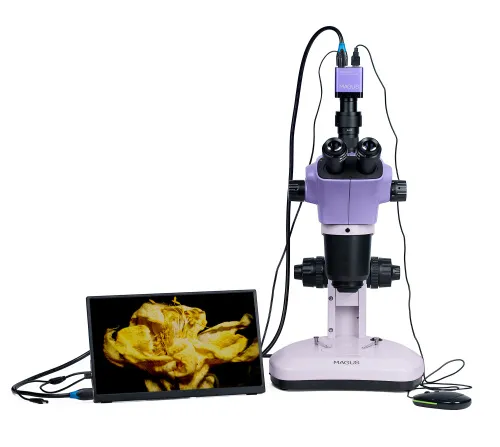 изображение Стереомикроскоп цифров MAGUS Stereo D9T LCD,  6