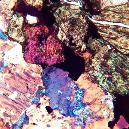 изображение Поляризационен микроскоп MAGUS Pol 850,  20