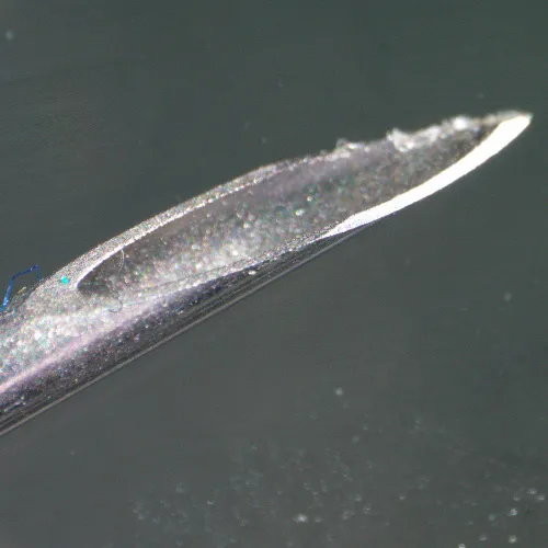 изображение Стереомикроскоп цифров MAGUS Stereo D9T LCD,  28