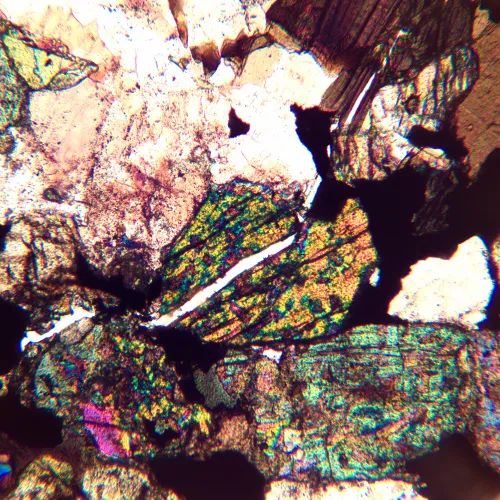 изображение Поляризационен микроскоп MAGUS Pol 890,  24