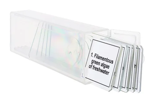 картинка Набор от микропрепарати Levenhuk Discovery Prof DPS 5. „Биология“,  5