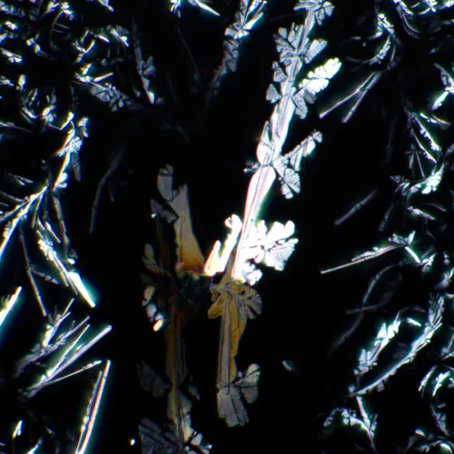 картинка Комплект поляризатор/анализатор MAGUS SPD2,  5