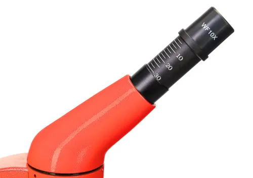 картинка Микроскоп Levenhuk Rainbow 50L,  12