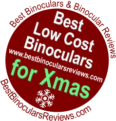 изображение Бинокъл Levenhuk Atom 10x50,  10