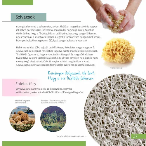 изображение Познавателна книга „Космос. Микросвят“ (двутомно издание). С твърди корици,  7