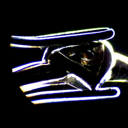 картинка Цифров стереомикроскоп MAGUS Stereo D7T LCD BASE,  25