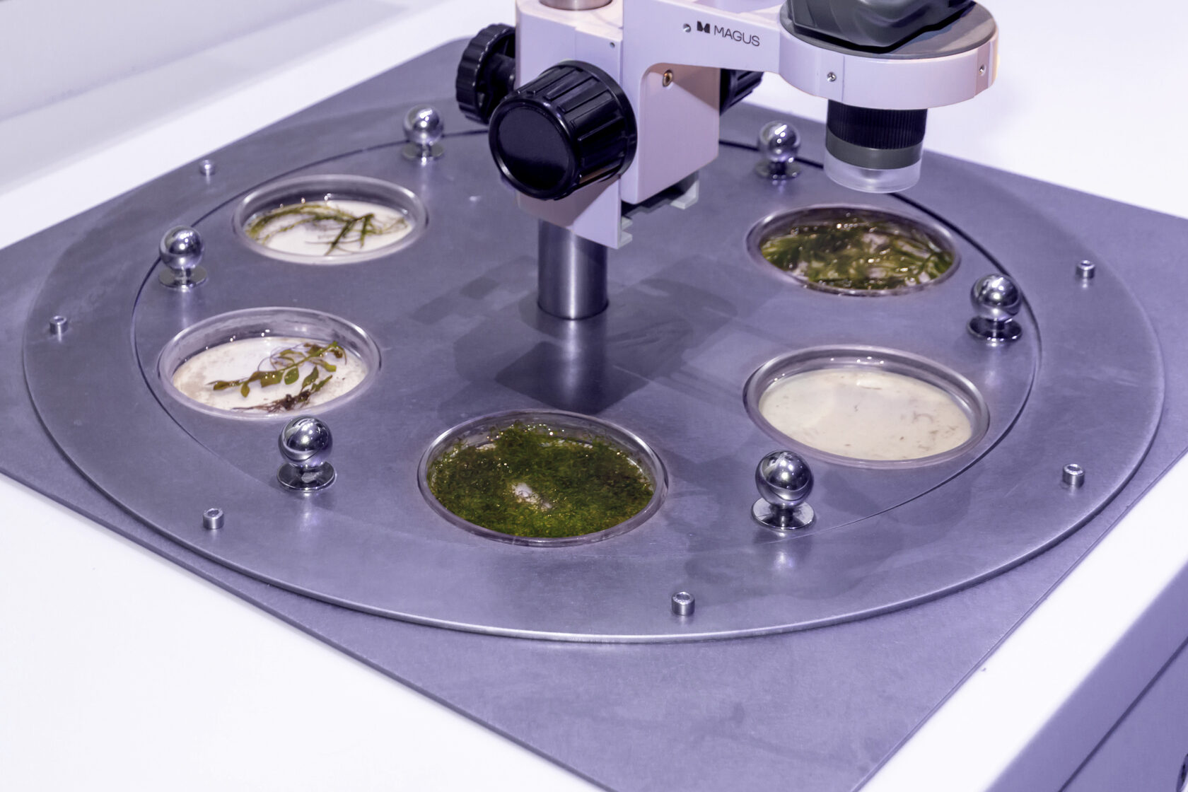 MAGUS в музейните експозиции museum_world_ocean_0.jpg